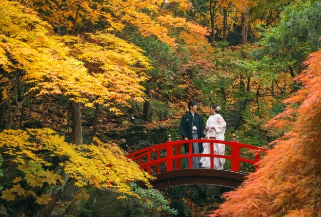 TAIKO BRIDGE